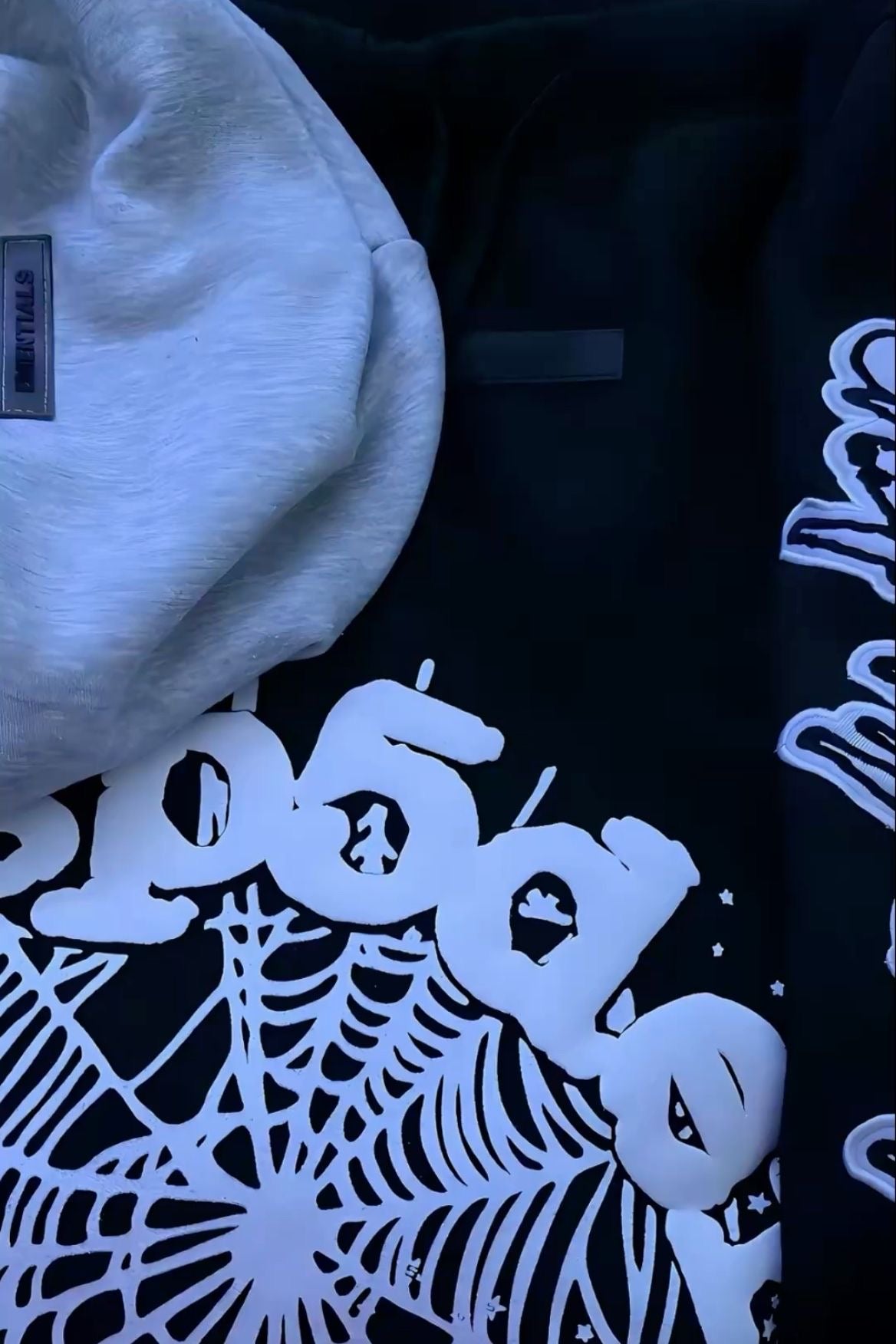 Sp5dr 🏴‍☠️🔐