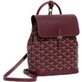 Alpin Gyrd bordeaux
