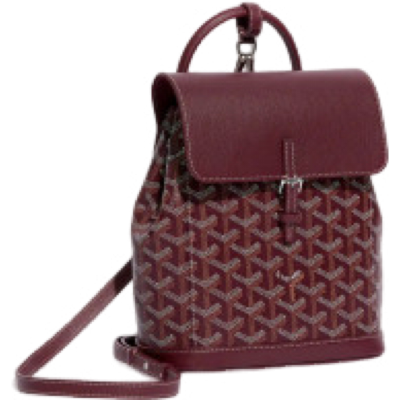 Alpin Gyrd bordeaux