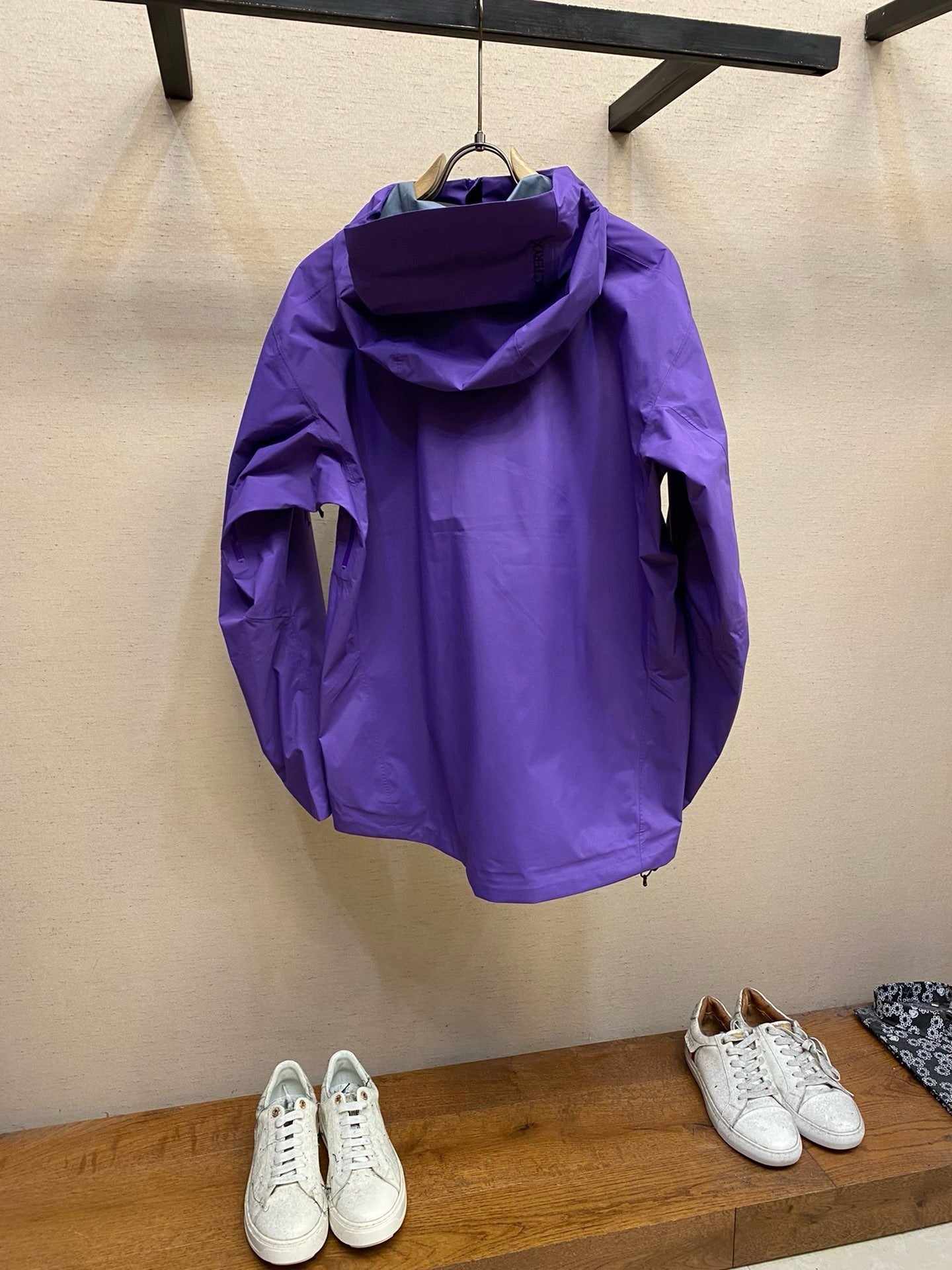 Veste  Arc tryx  Gore tx Purple