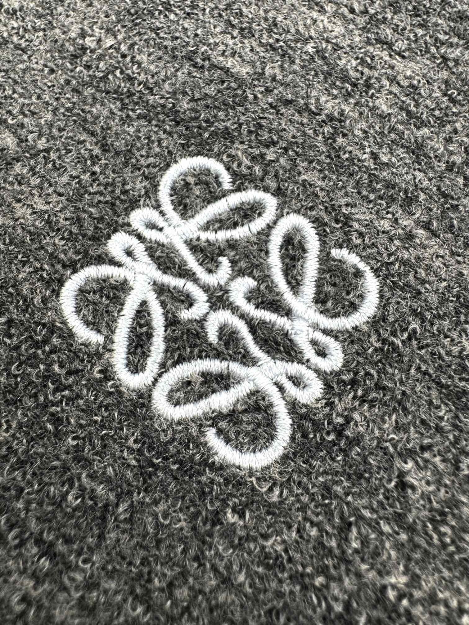 Sweat shirt à capuche laine  Loew 10/10