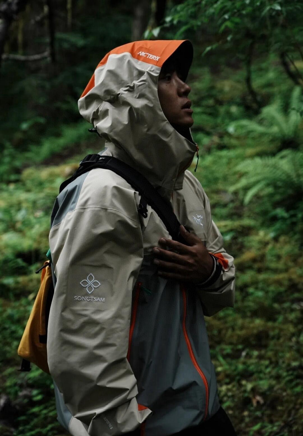 Veste  Arc tryx  Gore tx