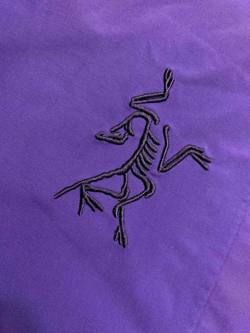 Veste  Arc tryx  Gore tx Purple